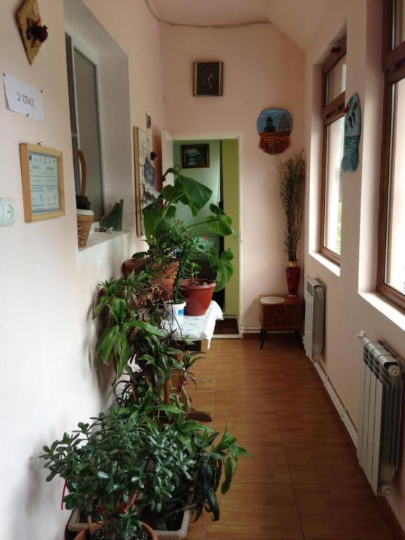 Iris B&B In Debed Canyon 알라베르디 외부 사진