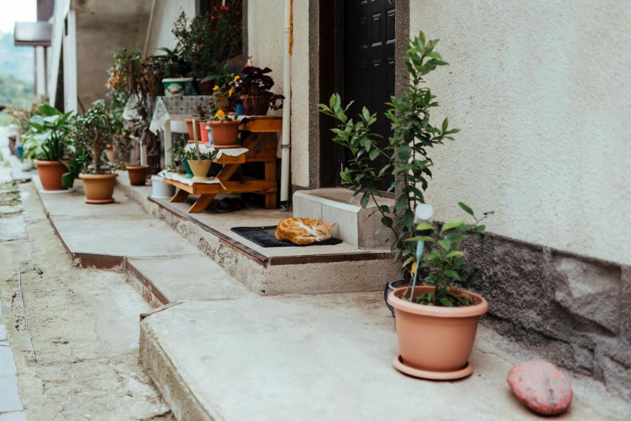Iris B&B In Debed Canyon 알라베르디 외부 사진
