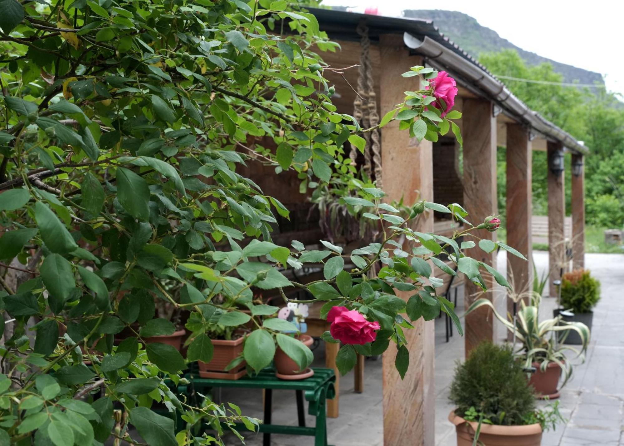 Iris B&B In Debed Canyon 알라베르디 외부 사진