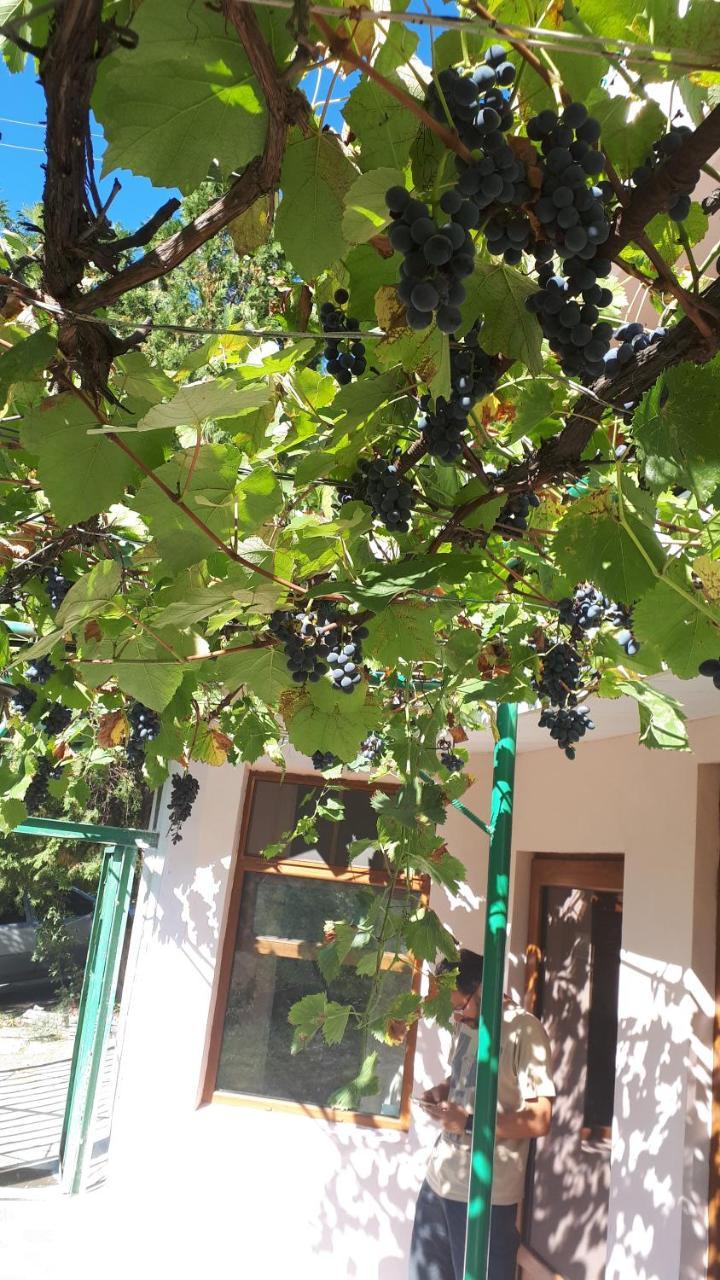 Iris B&B In Debed Canyon 알라베르디 외부 사진