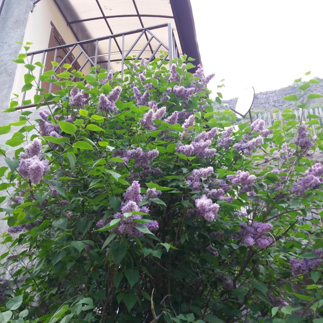 Iris B&B In Debed Canyon 알라베르디 외부 사진